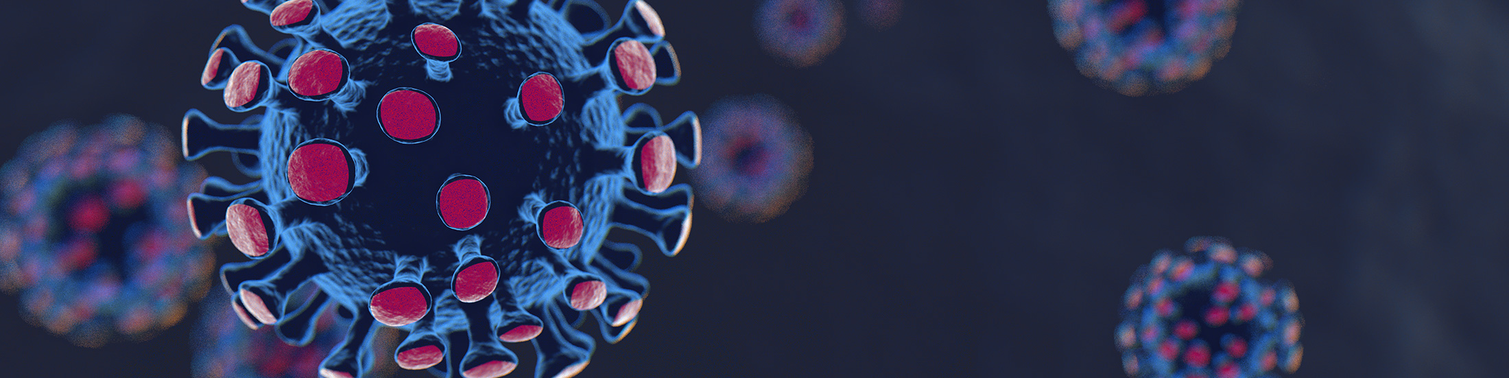 Header-Corona